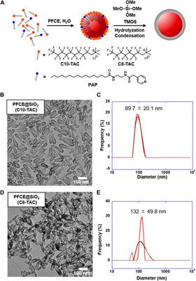 Development of elliptic core-shell nanoparticles with fluorinated surfactants for 19F MRI